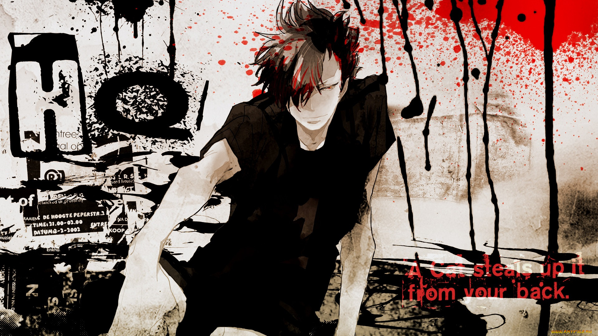 , haikyuu, 